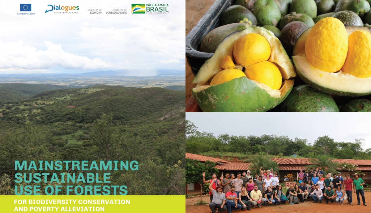Mainstreaming Sustainable Use of Forests for Biodiversity Conservation and Poverty Alleviation in Brasil