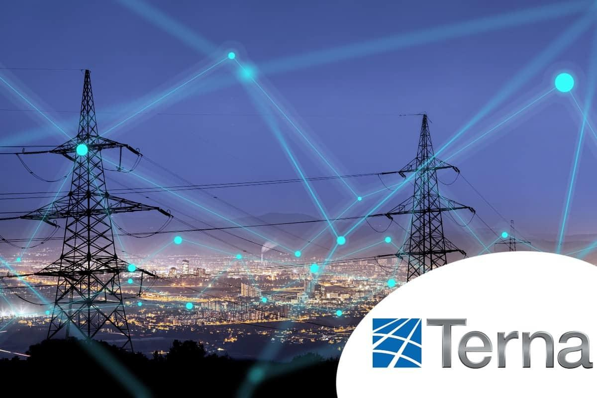 Framework Agreement “Assistance service, specialist support for updating cartographic database and development of GIS models” for Terna, Italian Owner of National Electric Power lines network (Italy)