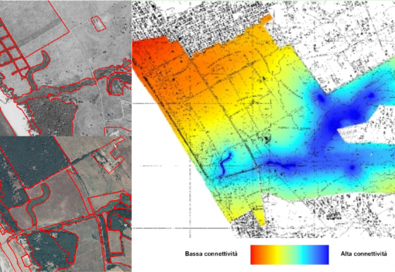 Diachronic analysis of vegetation and environmental suitability as part of the management plans of the SCIs Macchia della Spadellata and Fosso di S. Anastasio, Lido dei Gigli and Tor Caldara (Italy)