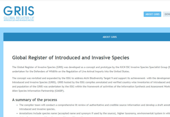 Implementation of an information system for invasive alien species:  Global Register of Introduced and Invasive Species
