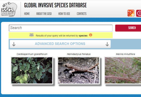 Redesign of the Global Invasive Species Database
