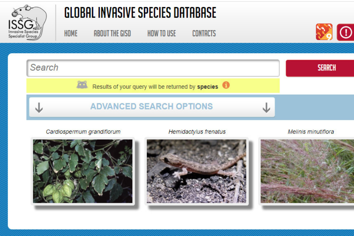 Redesign of the Global Invasive Species Database