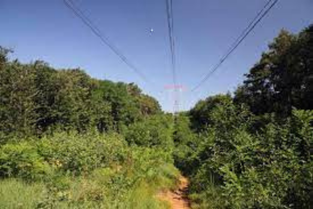 Environmental monitoring plan for compliance with the requirements relating to the intervention “380 kV Feroleto-Maida power line”